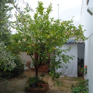 Casa en Venta calle De la Luna