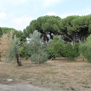 Chalet venta Carretera Marchena Km 7